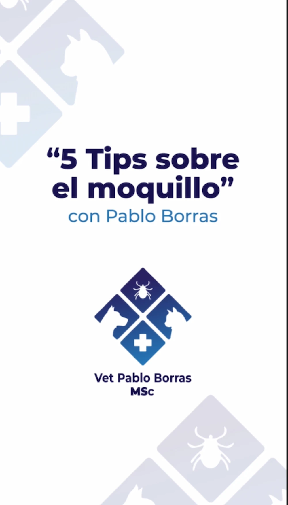 5 cosas que todo tutor debe saber sobre el moquillo