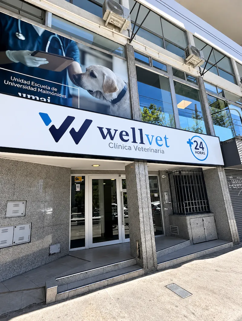 Clínica Veterinaria Wellvet